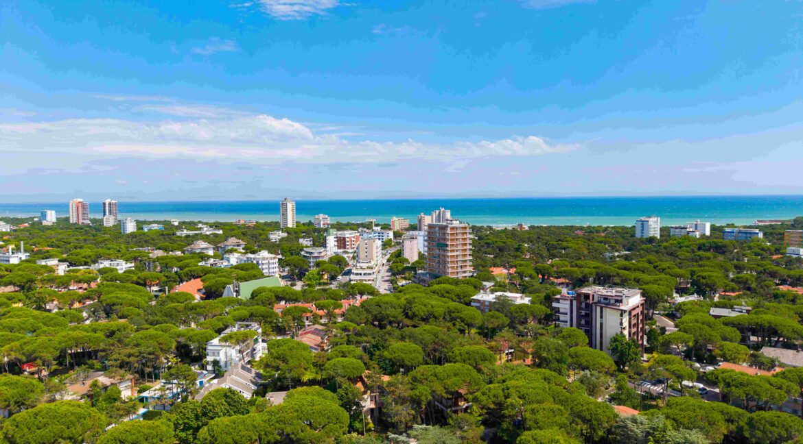 DJI_20260610145530_0167_D