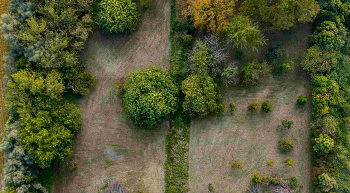DJI_20261007110636_0194_D